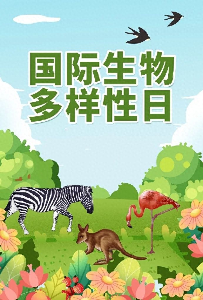 5月22日国际生物多样性日！你知道生物多样性分几个层次吗？