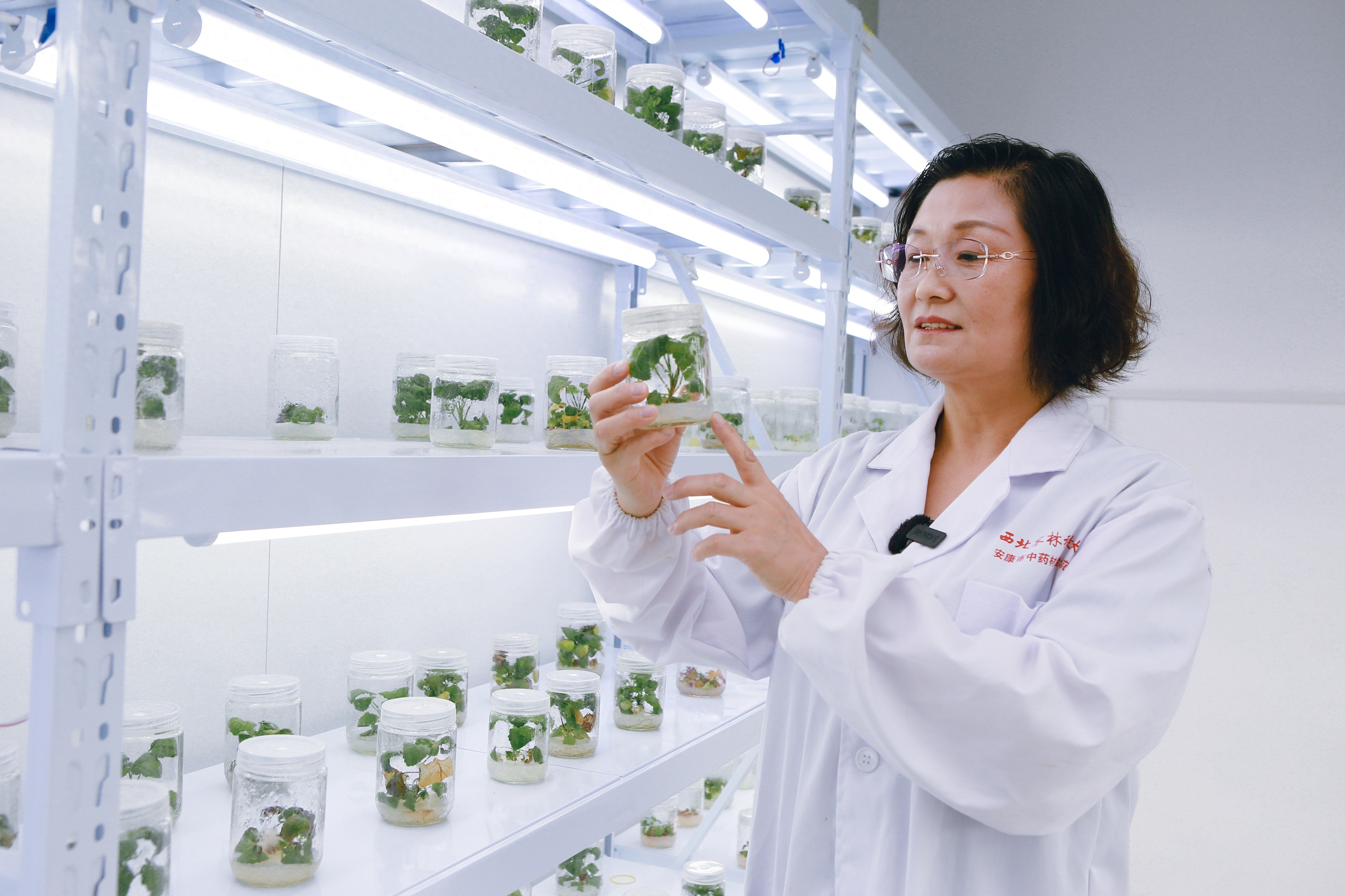 汉滨区科技局多项举措冲刺年度目标，成果显著？快来一探究竟