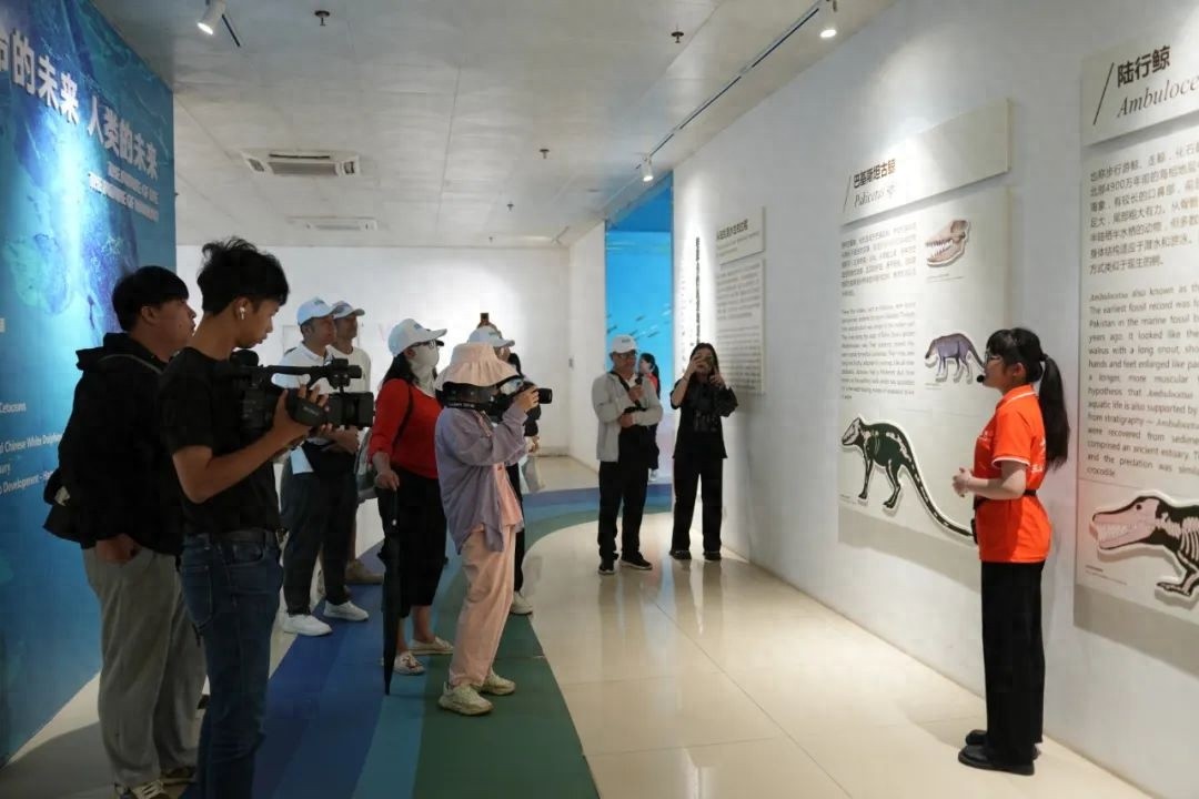 5月21日！北海等四市新媒体联合采风，邂逅中华白海豚？快来看  第1张