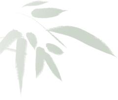 今年入汛偏早！常见汛期灾害性天气有哪些？如何防灾避险？  第2张