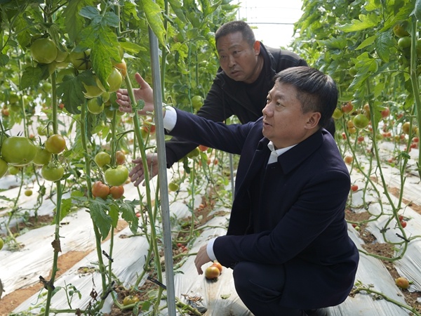春运水上交通安全如何保障？县长周应德亲自督导检查，确保万无一失  第2张