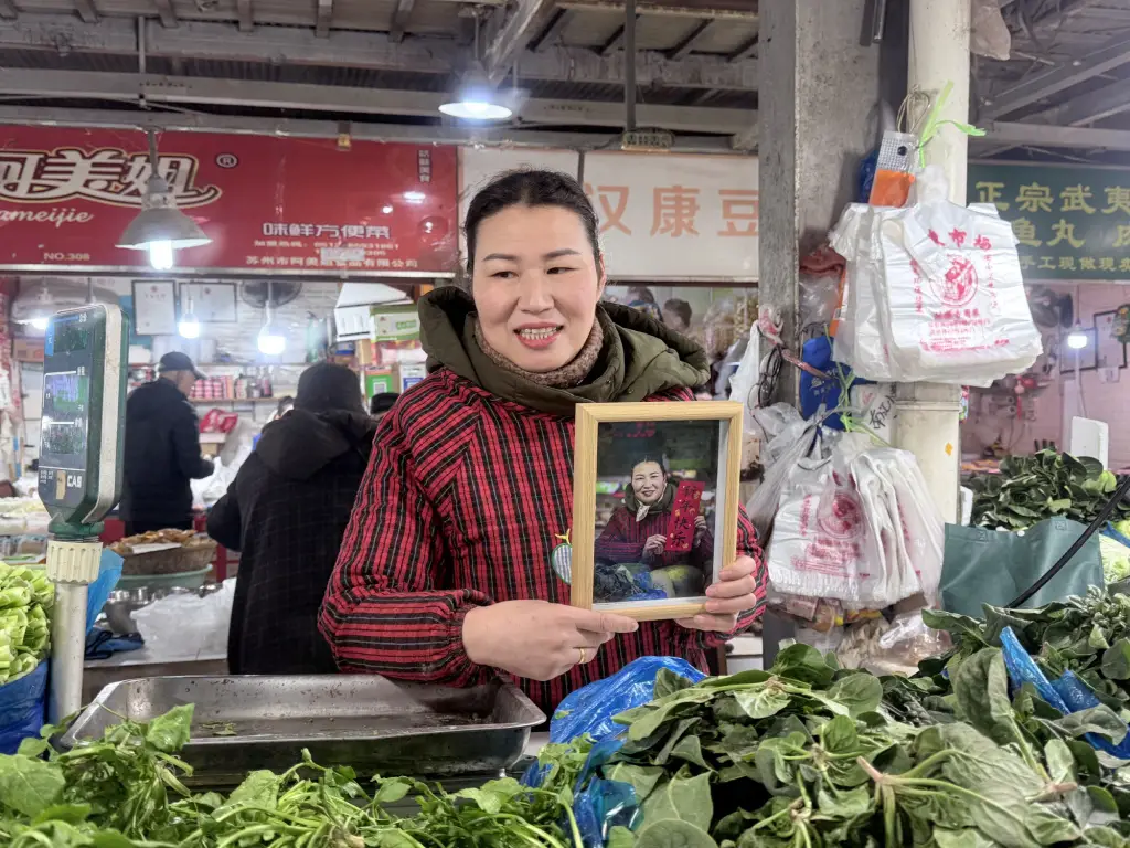 春运40天90亿人次大迁徙！你准备好迎接这场震撼人心的回家之旅了吗？  第3张
