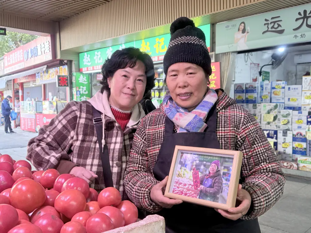 春运40天90亿人次大迁徙！你准备好迎接这场震撼人心的回家之旅了吗？  第4张