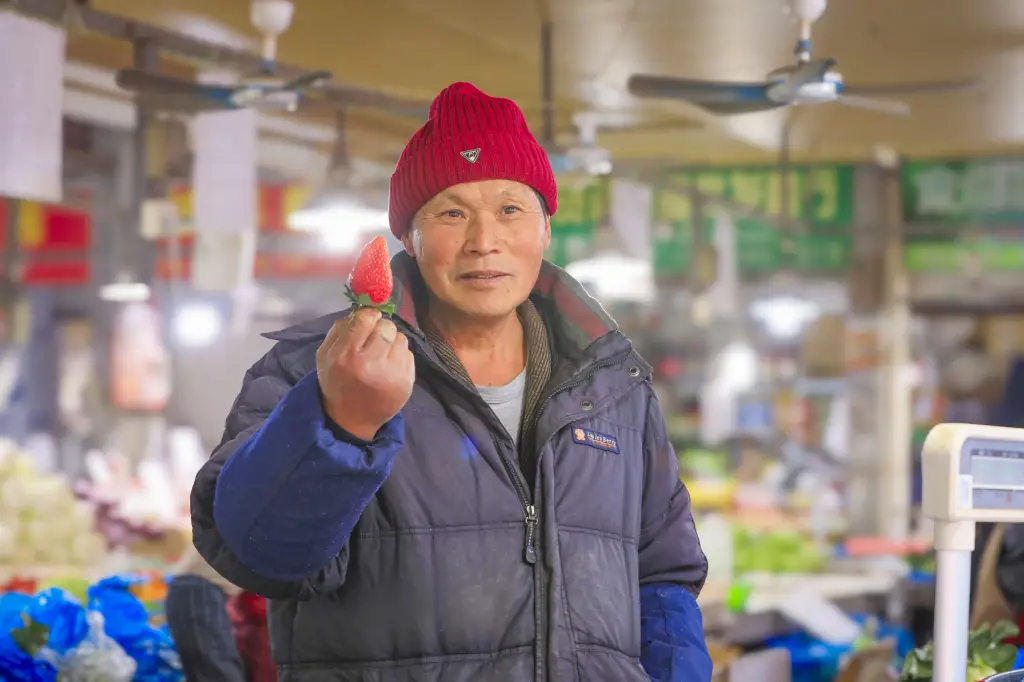 春运40天90亿人次大迁徙！你准备好迎接这场震撼人心的回家之旅了吗？  第6张