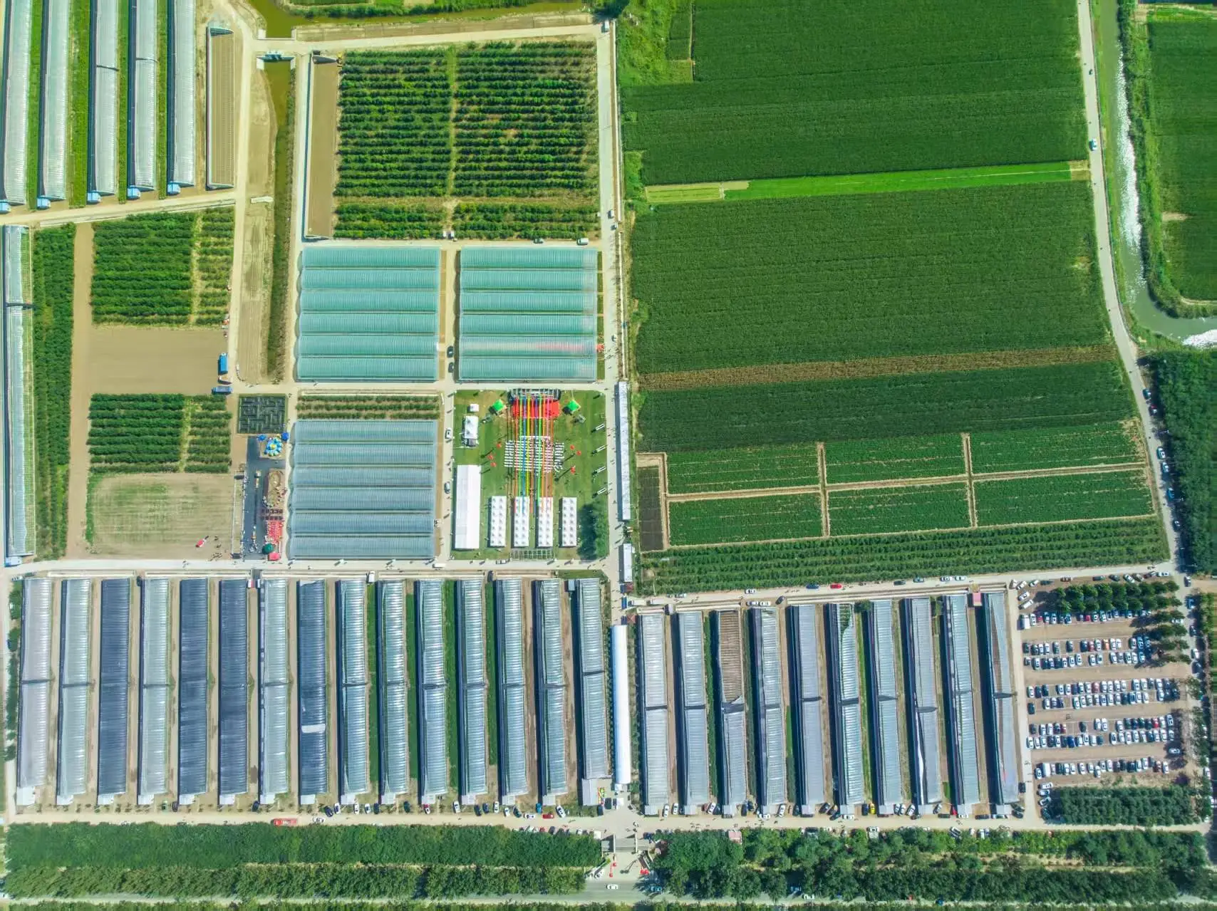 千年运河如何焕发新生？武清区用生态与文化点亮大运河的未来  第4张