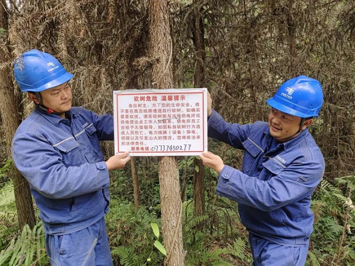 冬季山火频发，如何守护我们的电网和森林？龙胜供电公司这样做  第3张