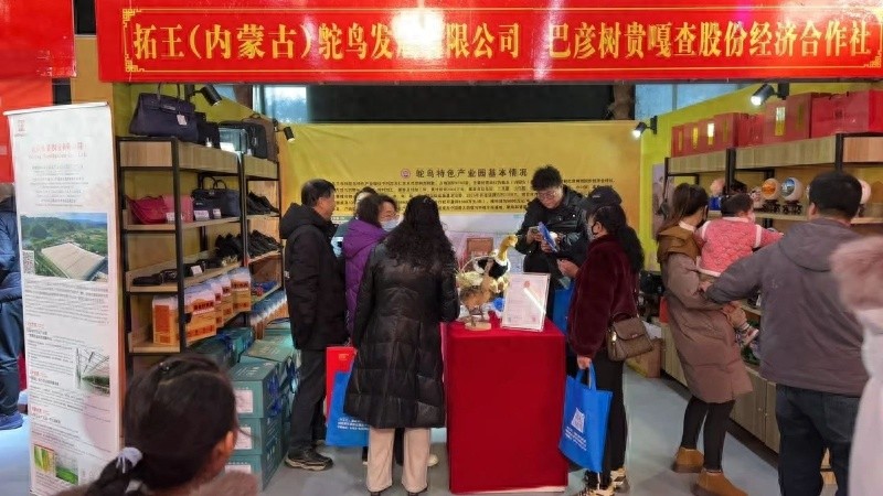 鸵鸟全身都是宝？阿拉善特色产品交流会揭秘鸵鸟制品的独特魅力