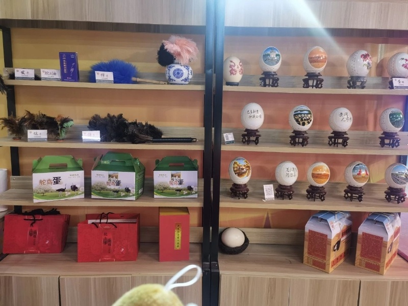 鸵鸟全身都是宝？阿拉善特色产品交流会揭秘鸵鸟制品的独特魅力  第2张