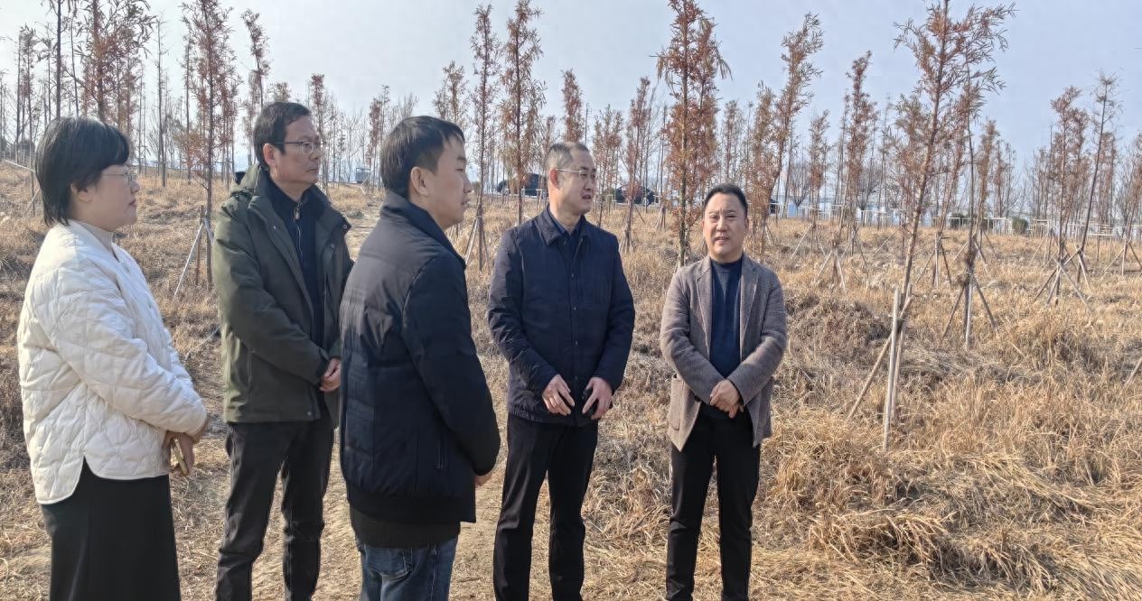 鱼梁洲如何用网格化管理守护森林安全？揭秘9大网格背后的防火奇迹