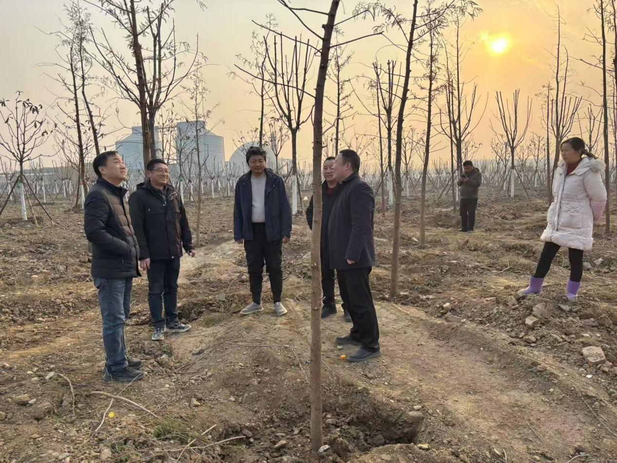 鱼梁洲如何用网格化管理守护森林安全？揭秘9大网格背后的防火奇迹  第2张