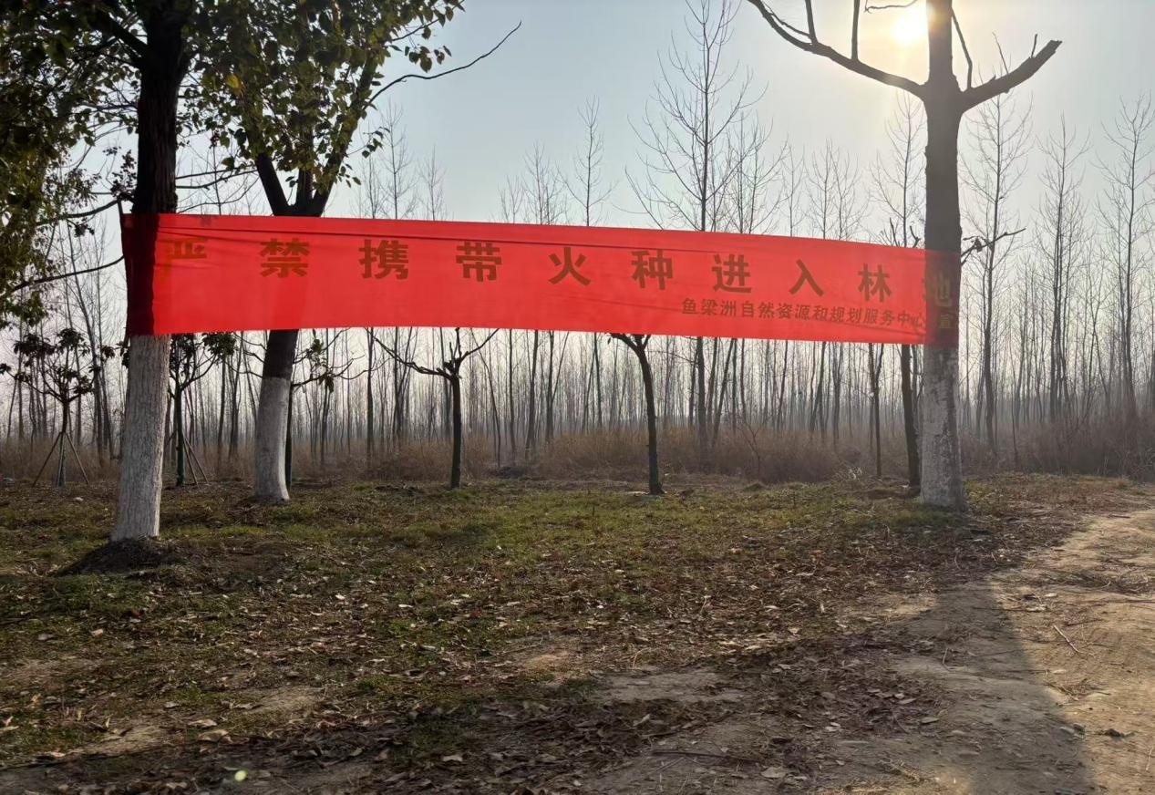鱼梁洲如何用网格化管理守护森林安全？揭秘9大网格背后的防火奇迹  第4张