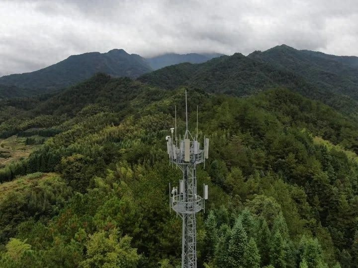 衢江区如何实现2024年零森林火灾？揭秘二二二多防联控举措的惊人效果  第1张