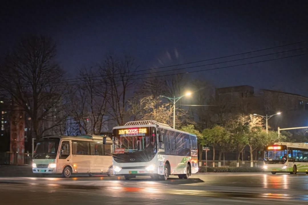 2025年长江不夜城灯会震撼来袭！你准备好迎接这场视觉盛宴了吗？  第1张