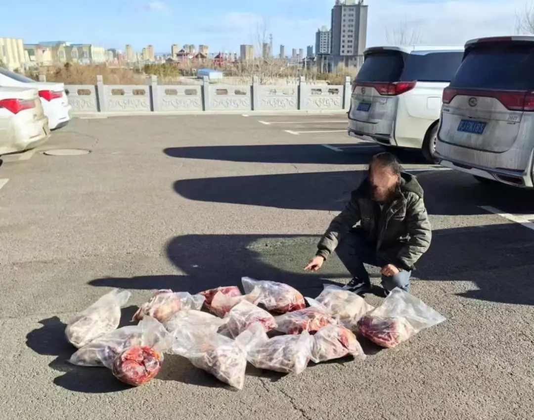 挂驴头卖马肉！集宁警方破获惊天造假案，你的餐桌安全吗？  第2张