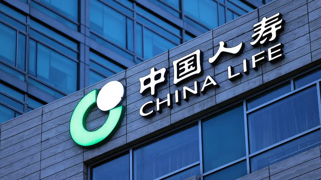方案重磅发布！中国人寿如何引领中长期资金入市，破解资本市场痛点？