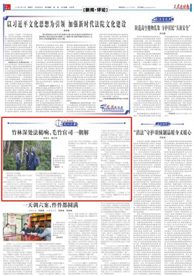 20年租金纠纷未解！泰宁县毛竹林承包合同为何引发村民激烈争吵？