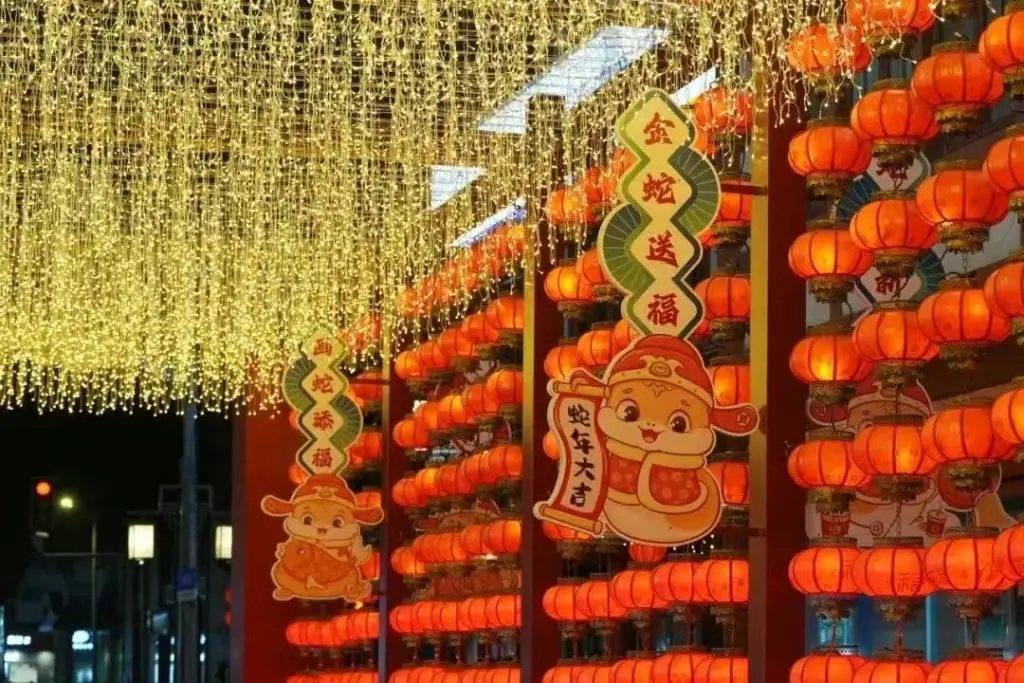 南翔古镇蛇年灯彩展，锦鲤、小笼、仙鹤齐上阵，你准备好迎接这场国潮盛宴了吗？  第1张