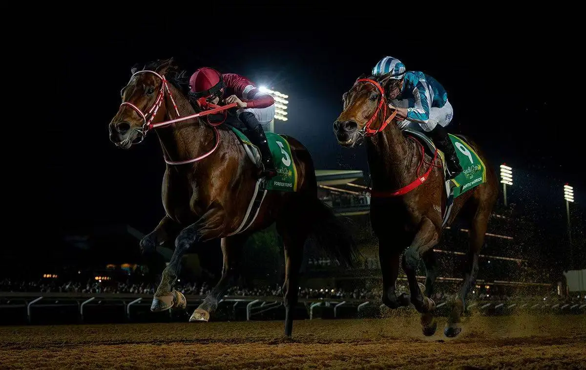 香港马王浪漫勇士勇夺沙特杯亚军，累积奖金突破2亿港元