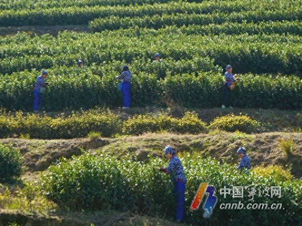 春日宁波气温飙升至31.2℃，初夏体验卡即将到期！你准备好迎接冷空气了吗？