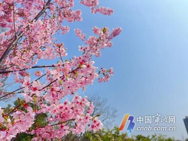 春日宁波气温飙升至31.2℃，初夏体验卡即将到期！你准备好迎接冷空气了吗？  第2张