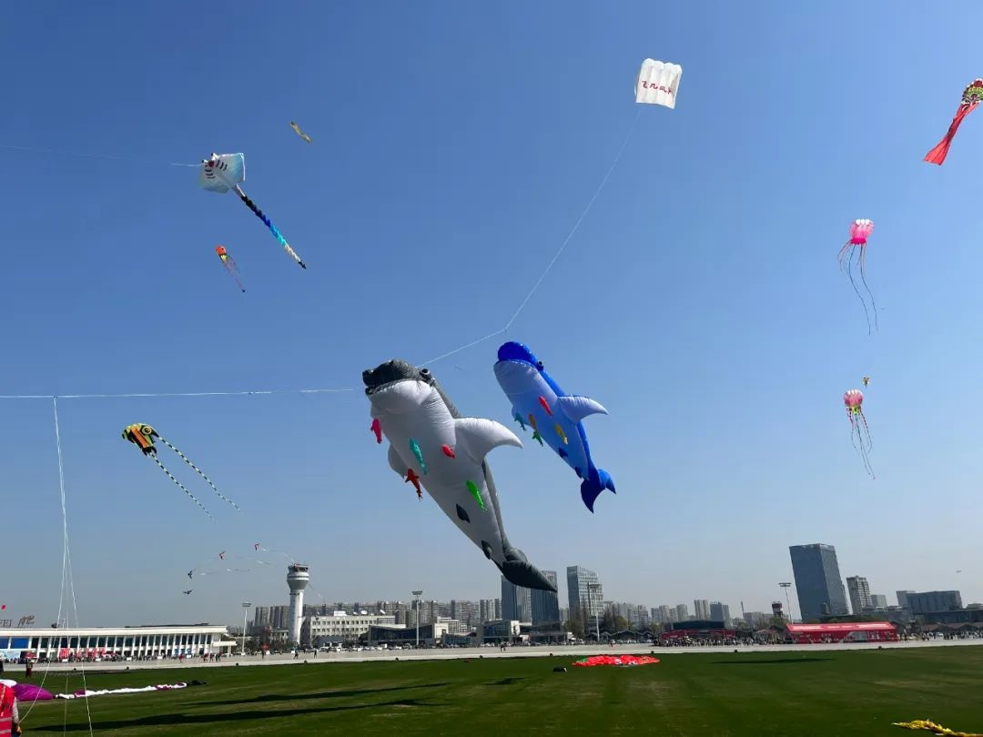 2025合肥骆岗公园国际风筝节：哪吒、敖丙齐飞，你准备好了吗？  第5张
