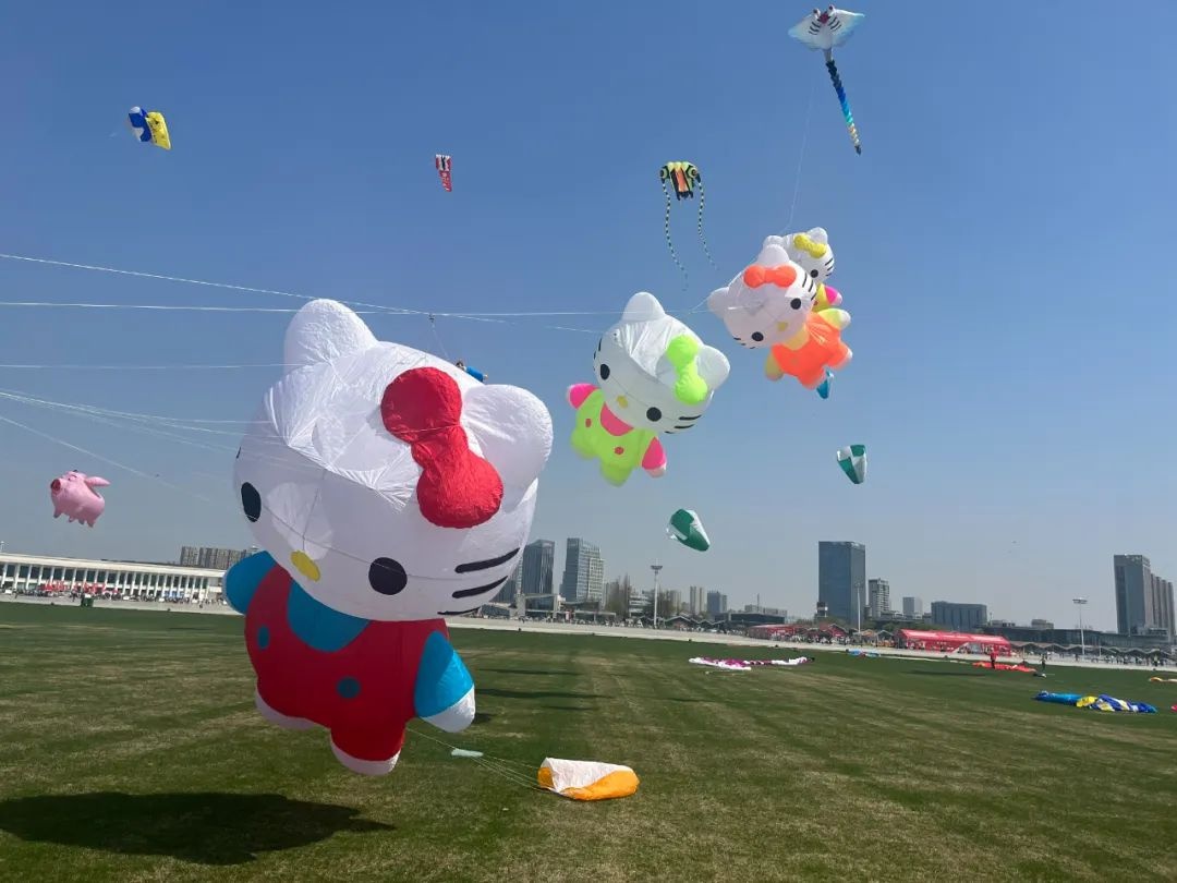 2025合肥骆岗公园国际风筝节：哪吒、敖丙齐飞，你准备好了吗？  第6张