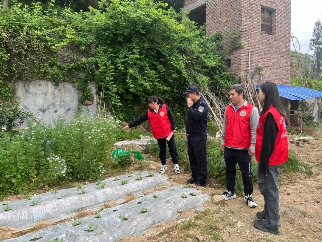 福安警方联合乡政府开展禁毒铲毒行动，毒品零种植零产量目标能否实现？