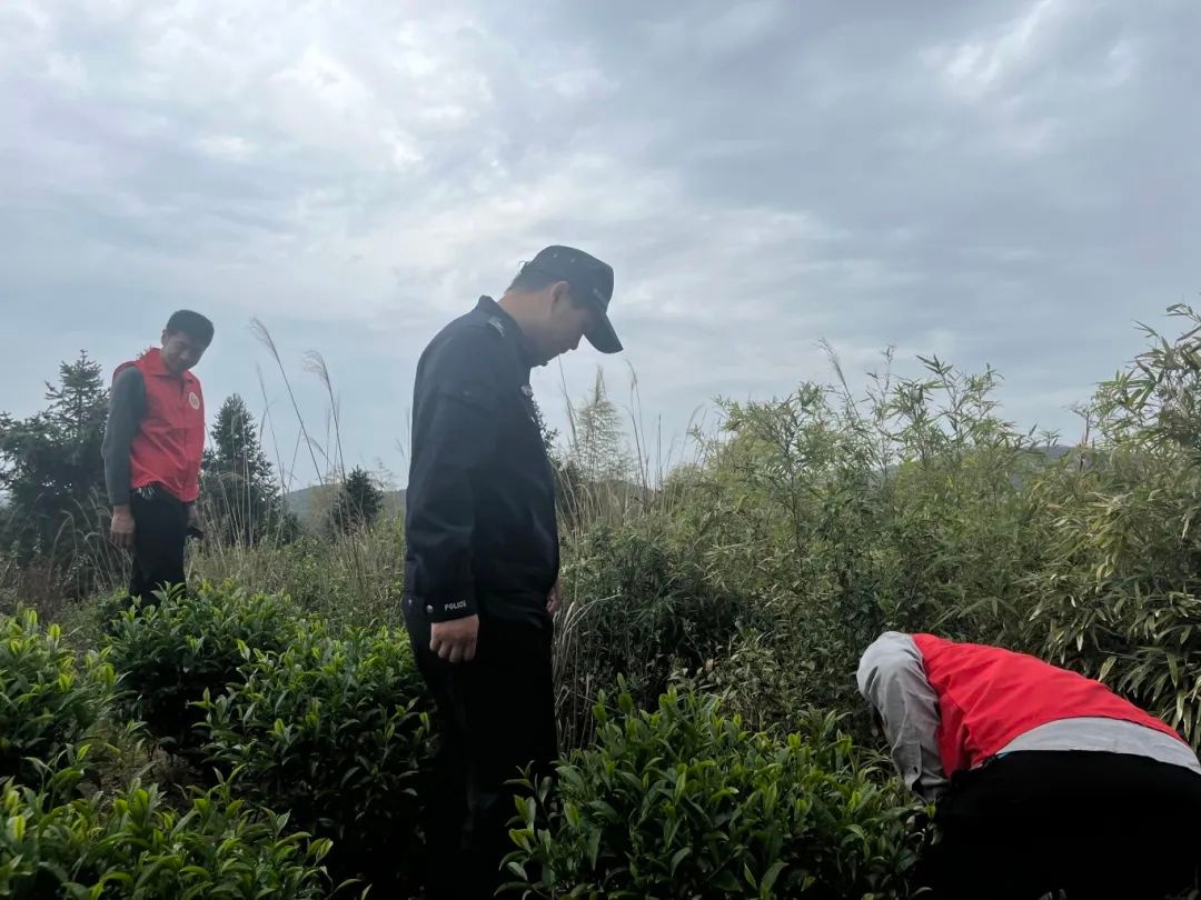 福安警方联合乡政府开展禁毒铲毒行动，毒品零种植零产量目标能否实现？  第2张