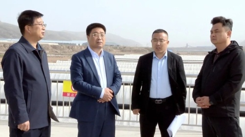 区委书记贾文举深入调研，定西宽粉产业园如何打造国际品牌？  第2张