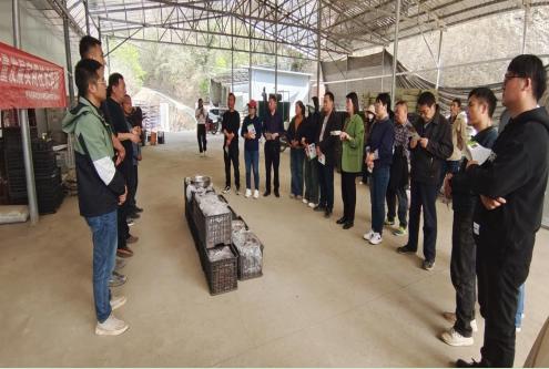 天麻种植也能无土栽培？略阳县这场培训让30多位村民大开眼界  第2张