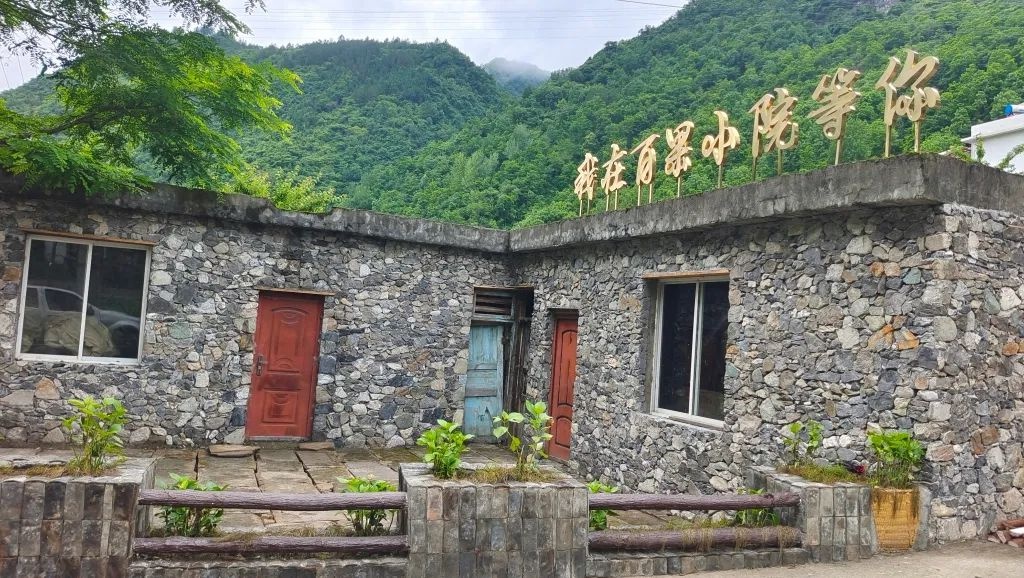绿水青山变金山银山！任河幸福河湖建设如何绘就河畅水清新画卷？  第3张