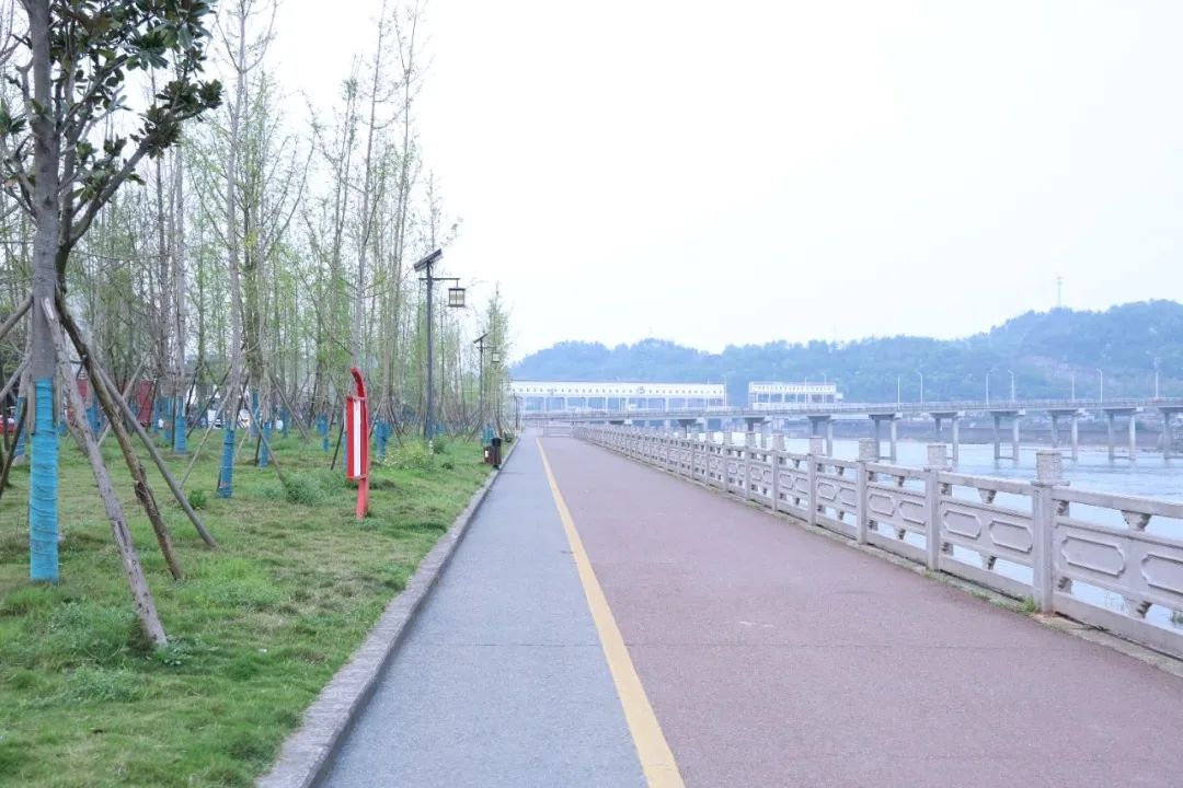 城市更新如何让便民生活圈更亲民？夹江县这五大民生工程告诉你  第4张