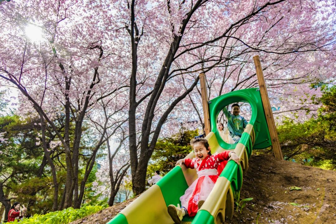 废旧轮胎变花盆？丹东幼儿园这场亲子活动让春天绽放新生命  第5张