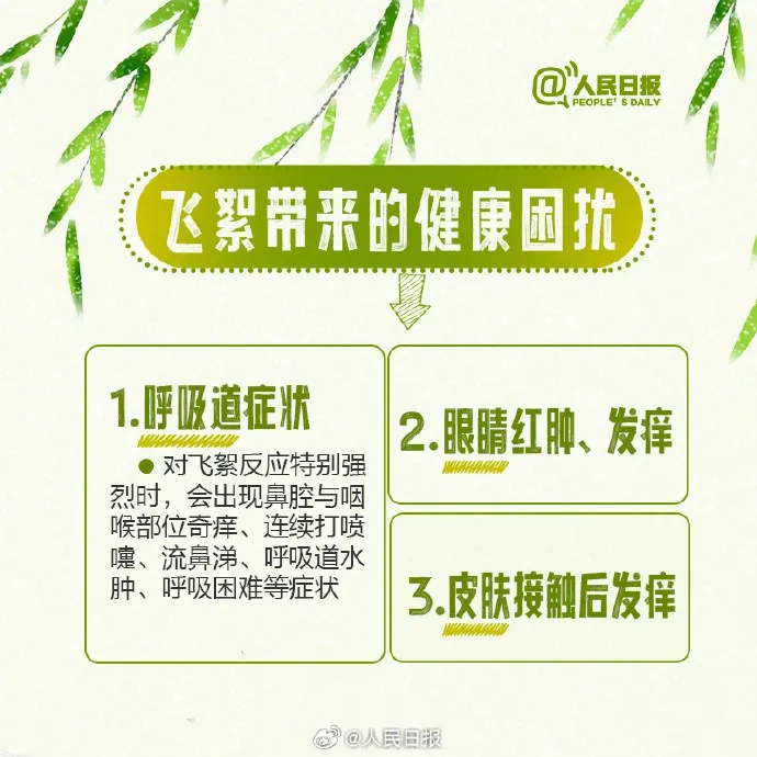 四月飞雪浪漫？杨柳絮钻进鼻孔的烦恼你了解吗  第5张