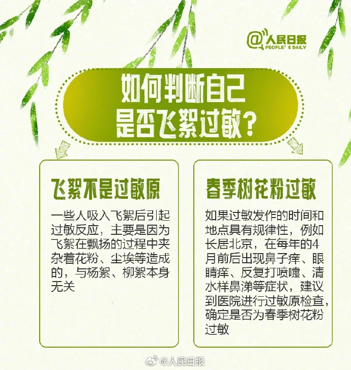 四月飞雪浪漫？杨柳絮钻进鼻孔的烦恼你了解吗  第6张