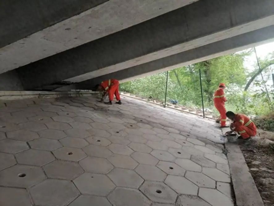 洪湖市公路事业发展中心如何为70座桥梁筑牢汛期安全防线？