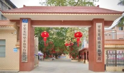 29年坚守生命源头！平果光明单采血浆站如何成为救命药的守护者？