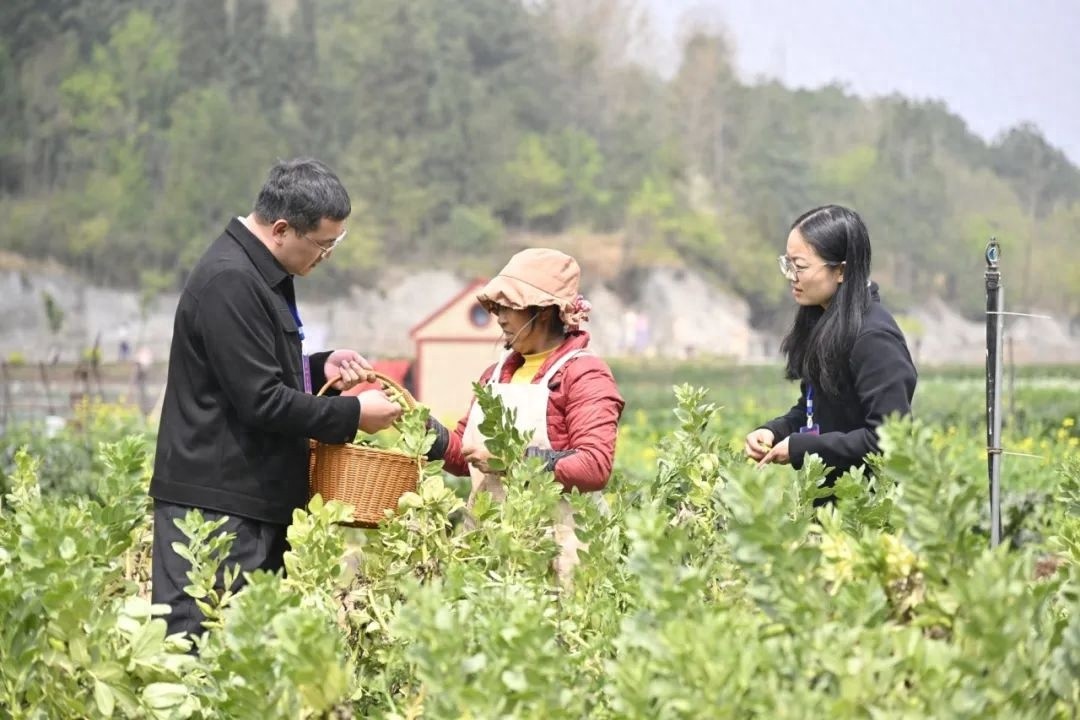 政府扶持创业，房租补贴助力开店！李店长的蔬菜店如何从困境到成功？
