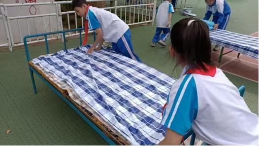 2025年白沟新城中小学生劳动技能竞赛震撼来袭！你的孩子准备好了吗？  第5张