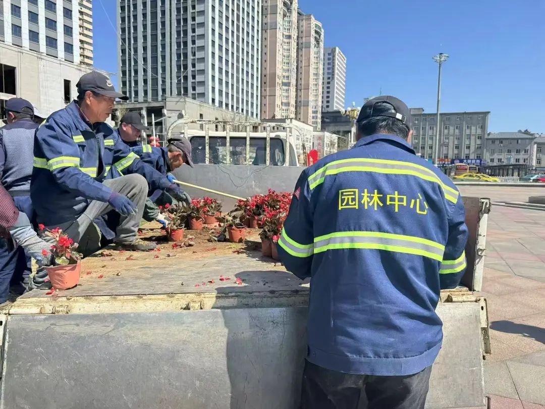30余万盆鲜花绽放丹东！五一假期你准备好迎接这场视觉盛宴了吗？  第3张