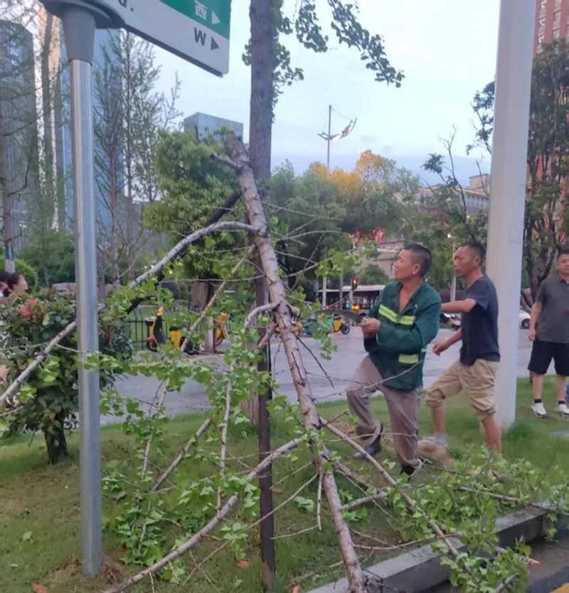 长沙暴雨来袭！城管系统如何24小时守护城市安全？  第5张
