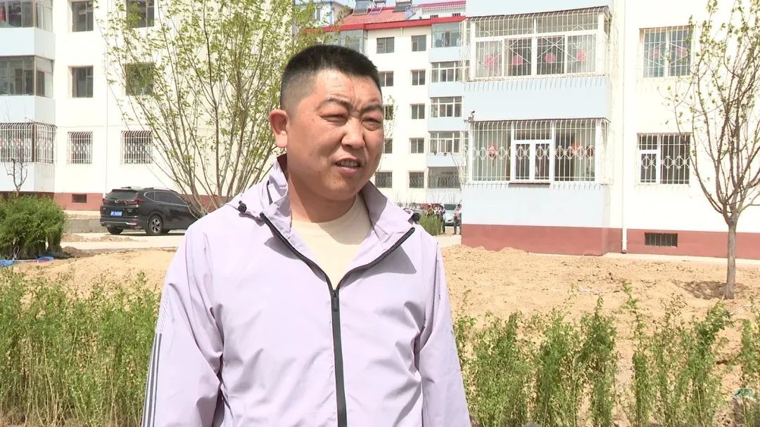 老旧小区大变样！平鲁区住建局启动春季绿化，14300株树木将如何改变居民生活？  第3张