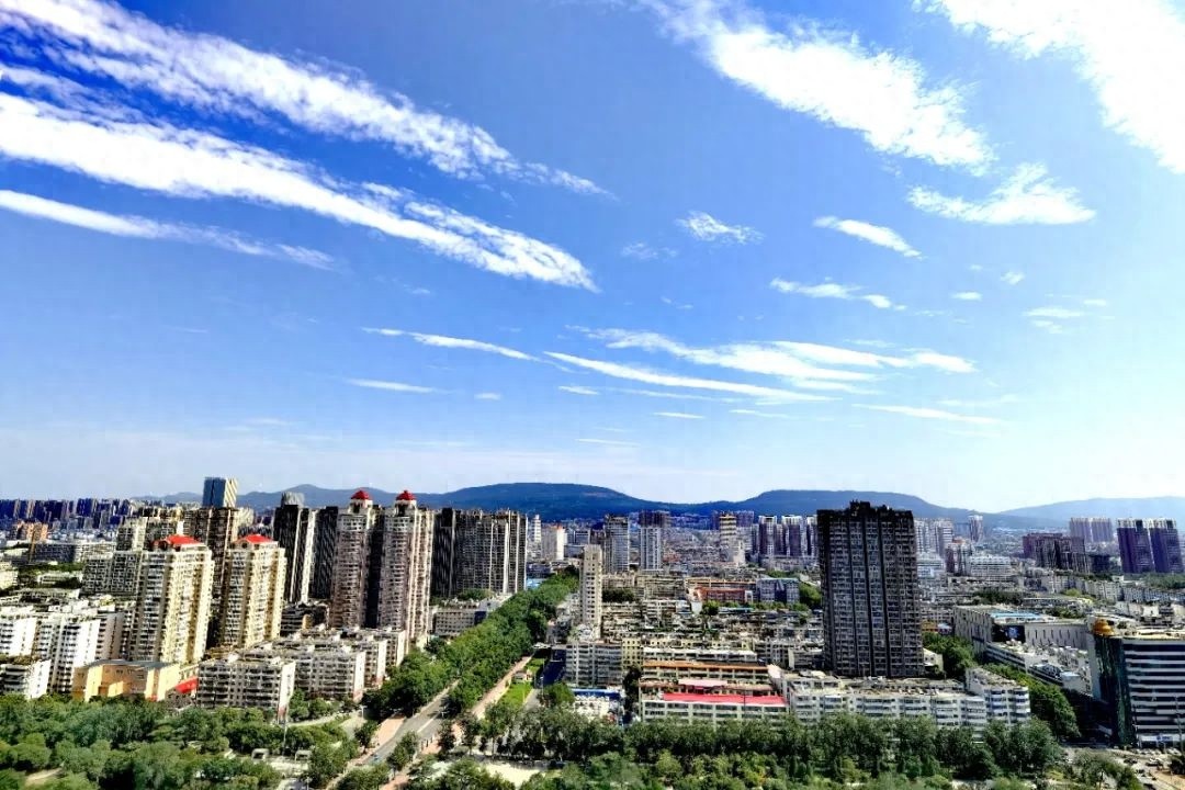 5月22日起！全市开展合同格式条款违法违规行为专项治理行动？你知道吗