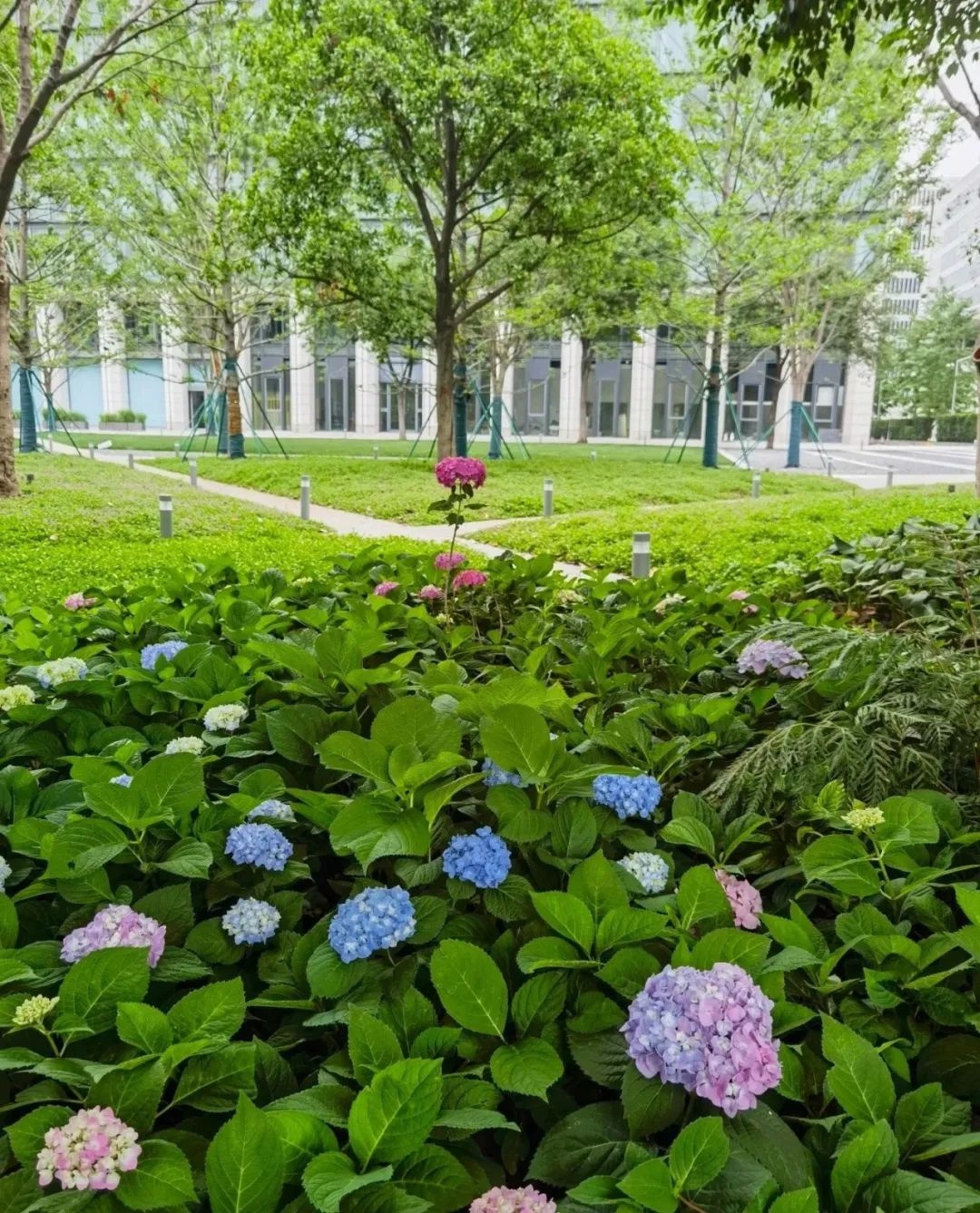 杭州天目里躺椅火出圈!6月中旬全新亮相,有啥惊喜? 第4张 杭州天目里躺椅火出圈!6月中旬全新亮相,有啥惊喜? 第4张