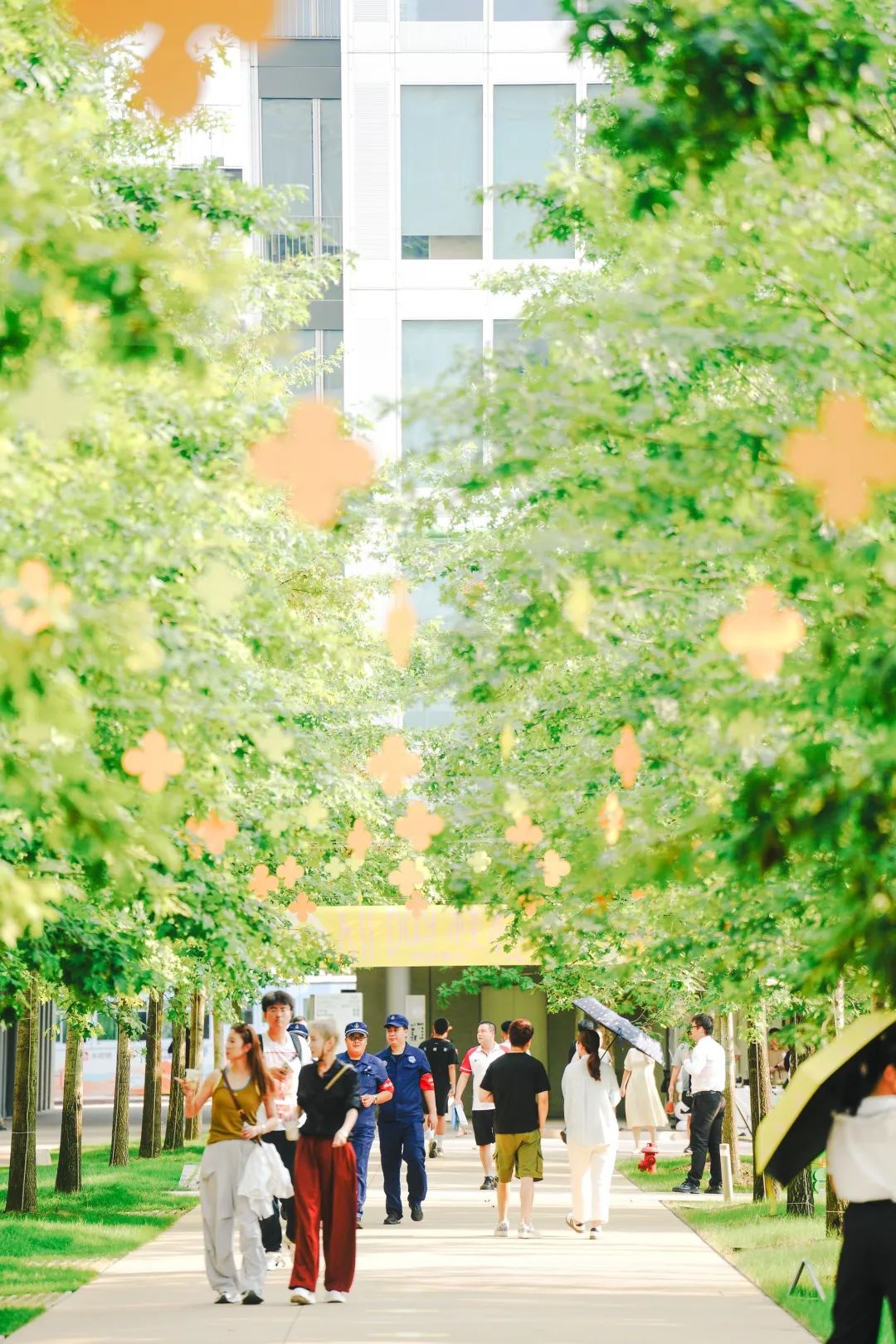 杭州天目里躺椅火出圈!6月中旬全新亮相,有啥惊喜? 第5张 杭州天目里躺椅火出圈!6月中旬全新亮相,有啥惊喜? 第5张