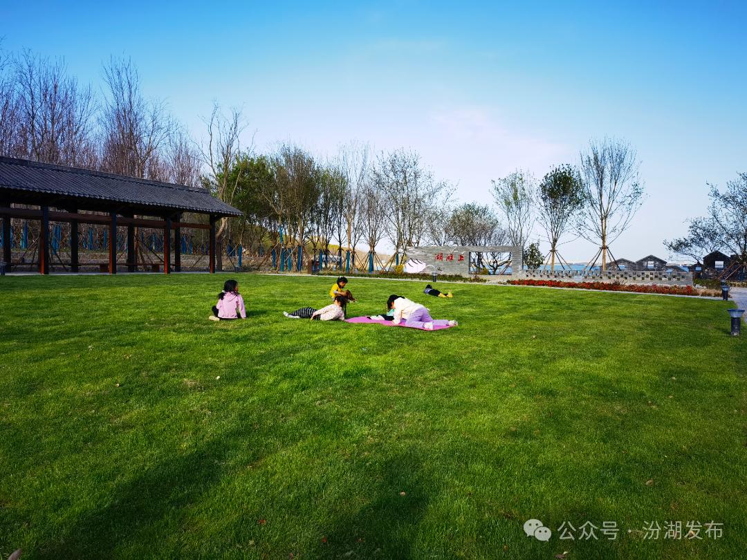 美丽河湖优秀案例太浦河示范引领，三地如何共保联治水生态？  第4张