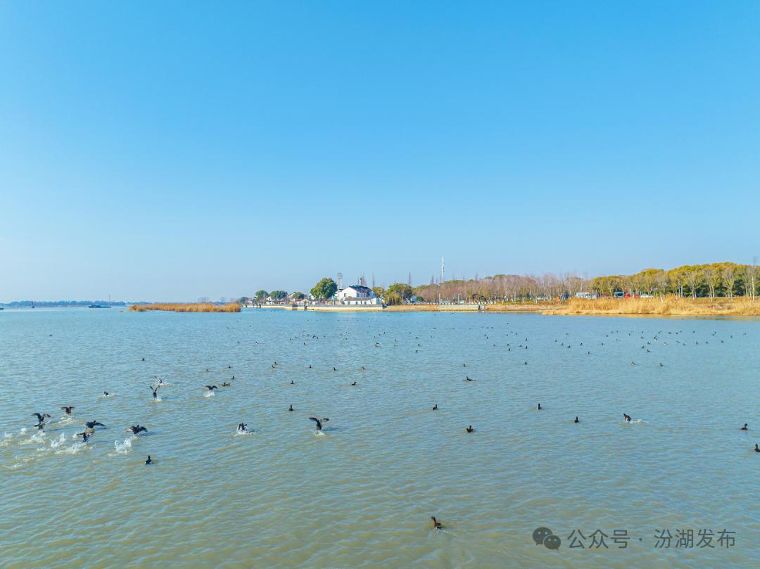 美丽河湖优秀案例太浦河示范引领，三地如何共保联治水生态？  第5张