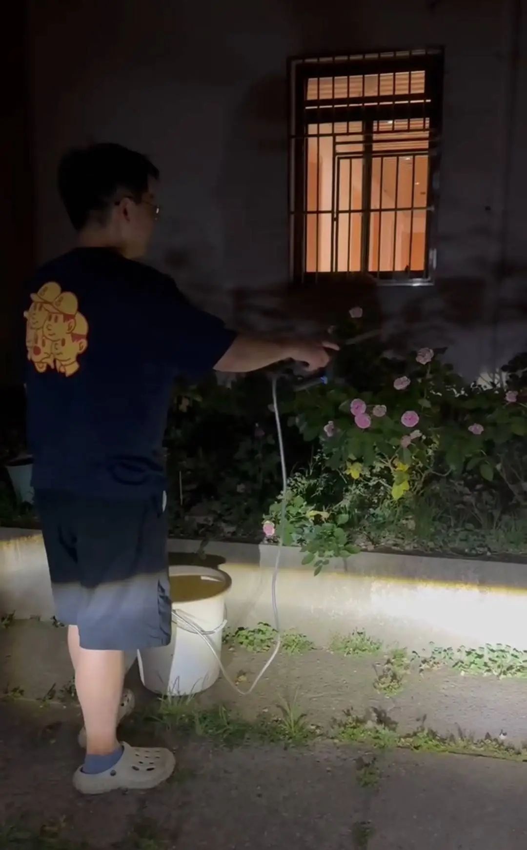 2名工科男种200多种月季！毕业之际，它们将何去何从？  第2张