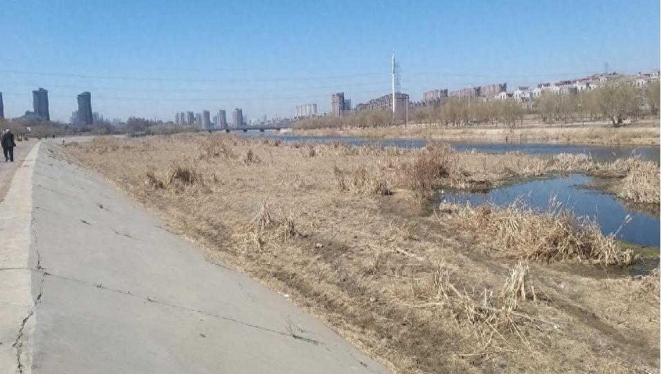 市住建局发力细河环境治理！11.3公里河道如何变身生态廊道？