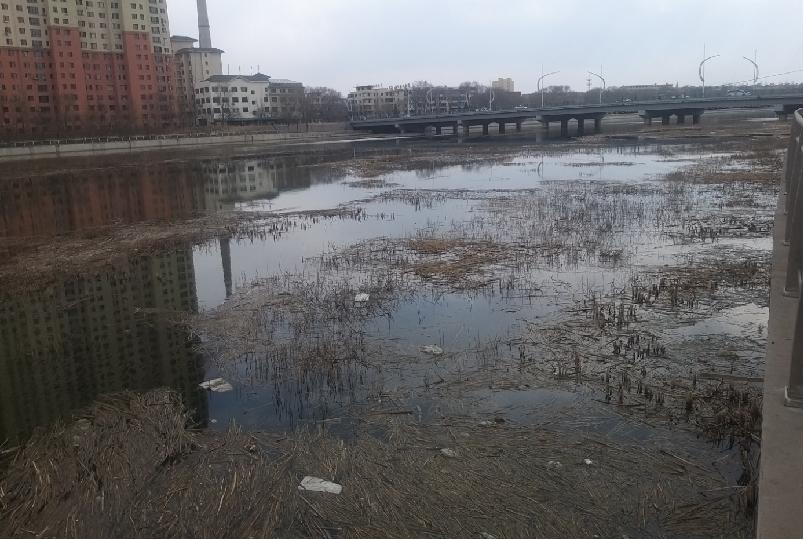 市住建局发力细河环境治理！11.3公里河道如何变身生态廊道？  第11张